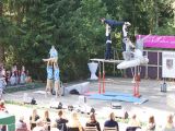 Heideblütenfest in Amelingenhausen (24.08.2014)